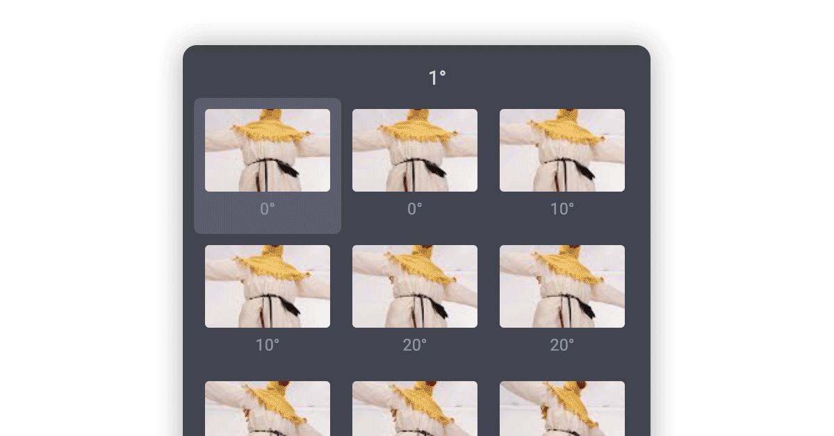 Control software captures and stores spins and still images for digitization