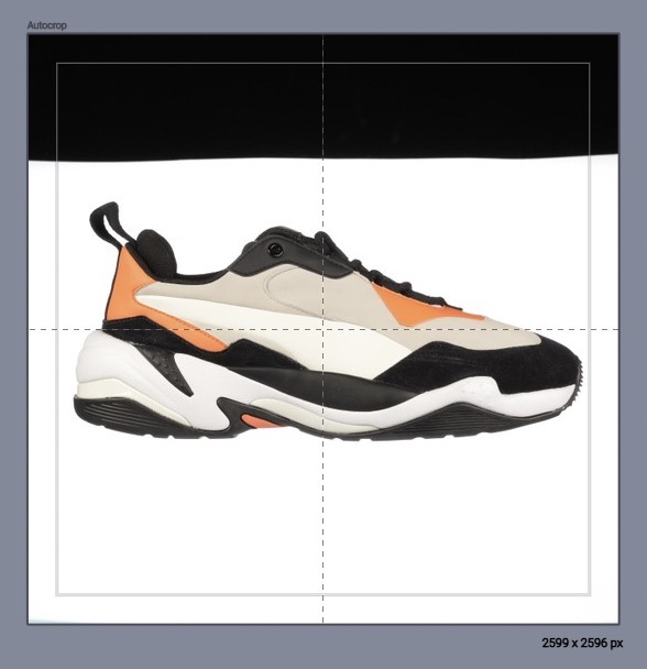 Photo before background removal