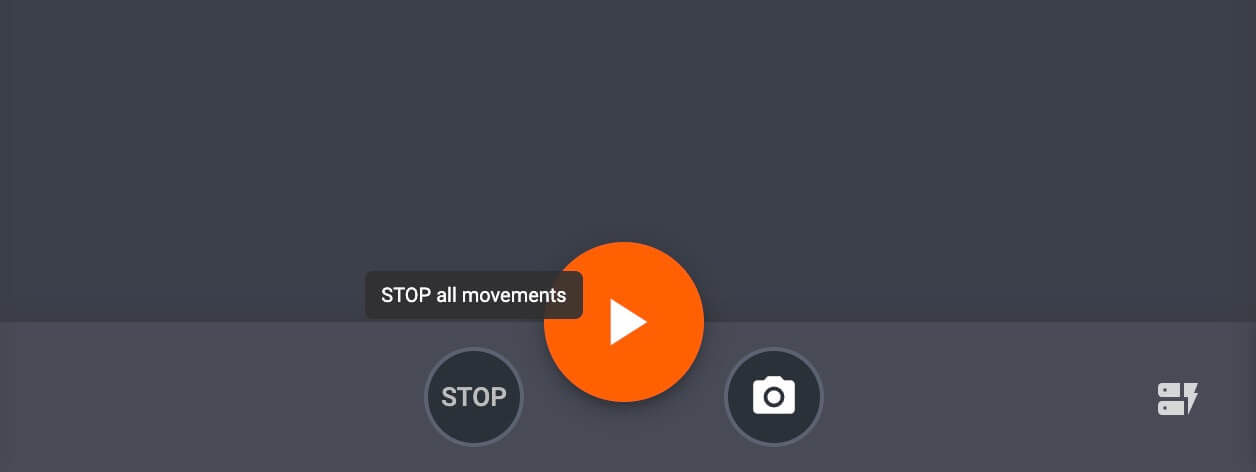 Stop all movements of the robot via the stop all movement button.